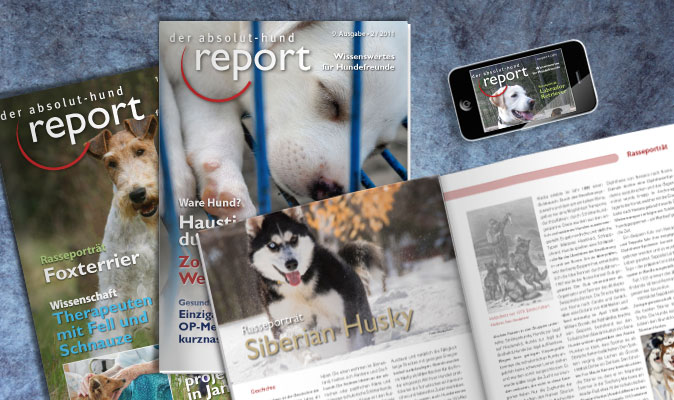 Der Absolut-Hund Report: Magazingestaltung und Satz